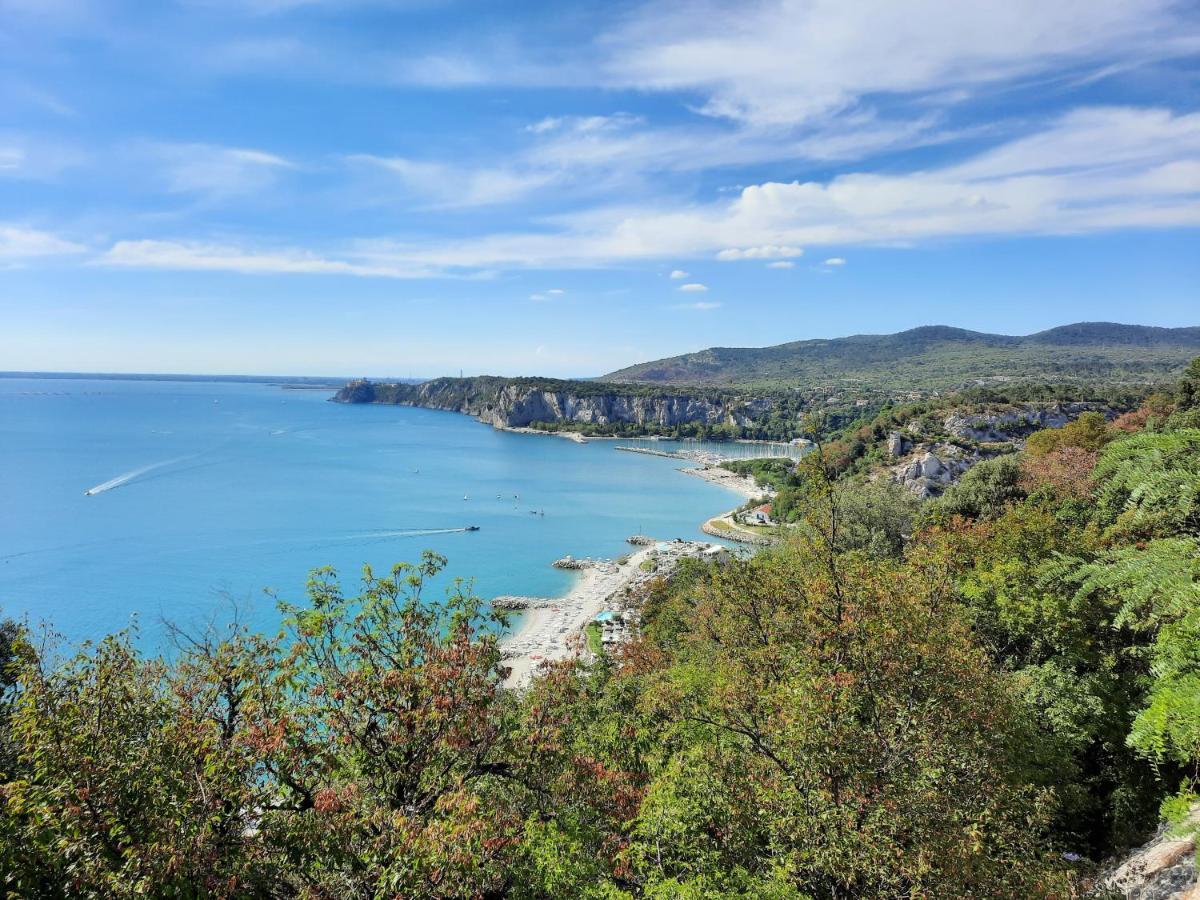 아우리시나 Agriturismo Ai Tre Sentieri 아파트 외부 사진