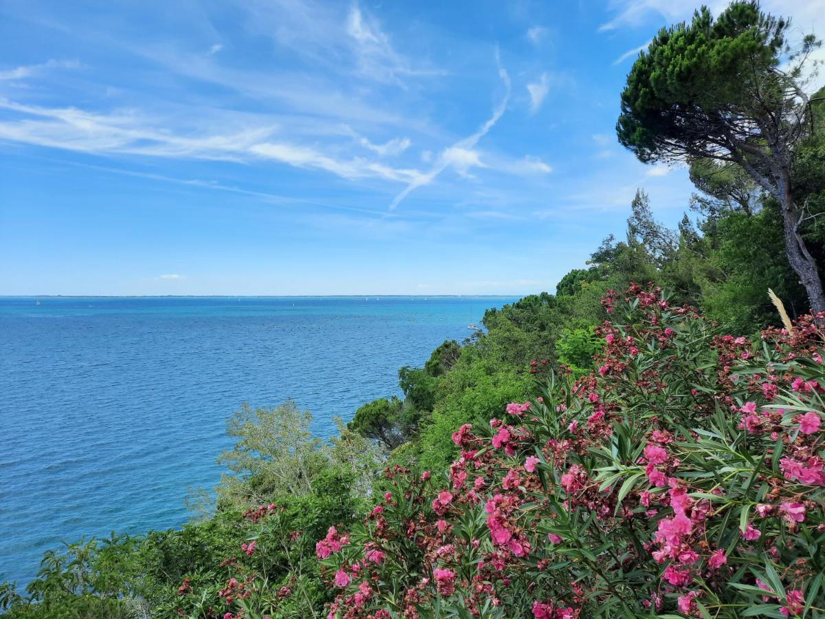 아우리시나 Agriturismo Ai Tre Sentieri 아파트 외부 사진