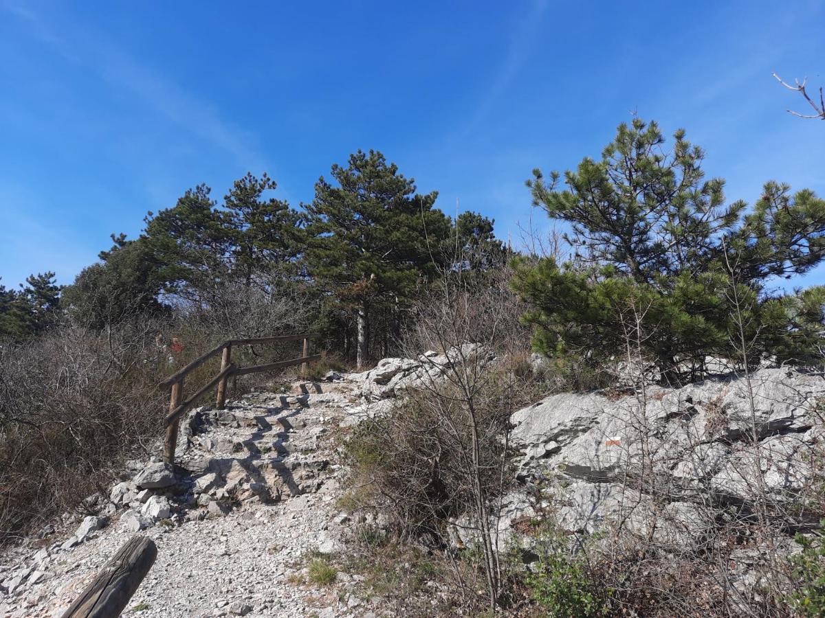 아우리시나 Agriturismo Ai Tre Sentieri 아파트 외부 사진